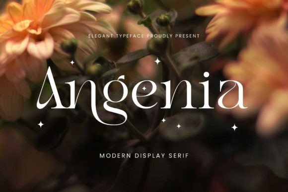 Angenia: A Casual Serif Font for Handmade Product Designs