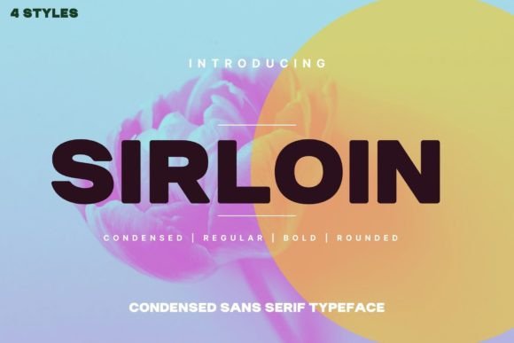 Sirloin Sans Serif Font for Bold Digital Branding and Web Layouts