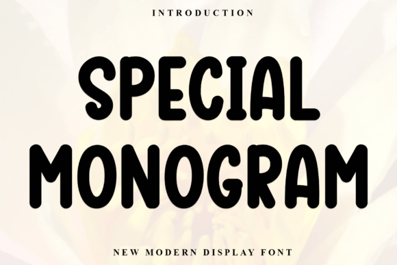 Special Monogram: A Display Font for Thoughtful Editorial Design